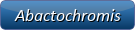 Abactochromis