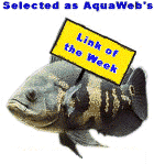 AquaWeb's Fish Site of the Week