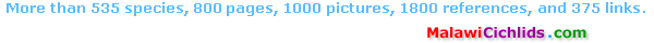 This site has more than...