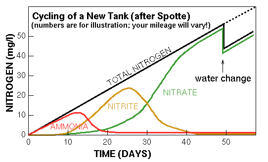 Nitrogen cycle